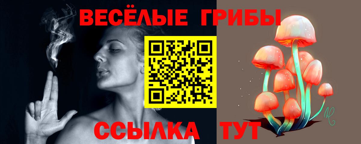 Псилоцибиновые грибы Psilocybine cubensis  Галлюциногенные грибы мухоморы  Великие Луки  Вход с VPN 